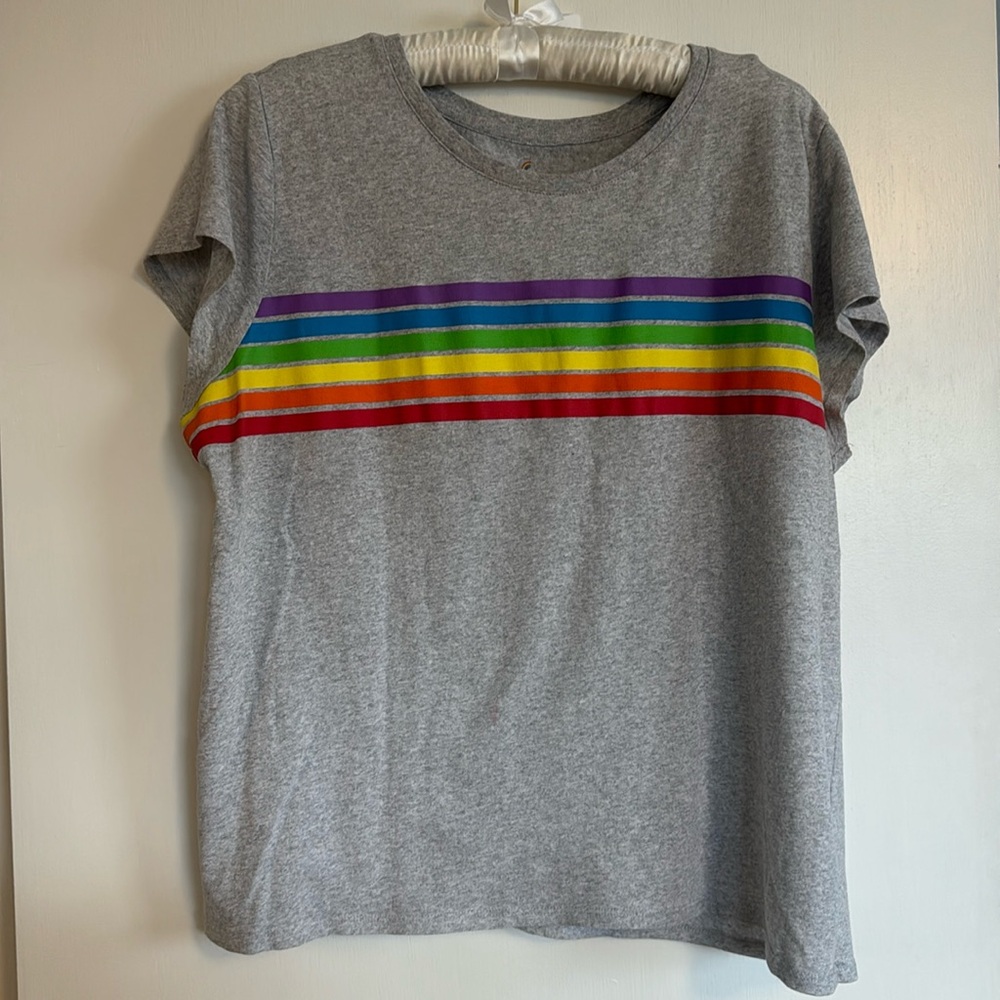 Rainbow stripe graphic tee cotton blend XL XXL gray grey t-shirt pride FLAW